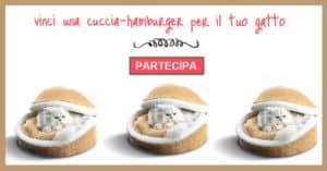 Vinci-una-cuccia-hamburger-Hopet-per-gatti-gratis