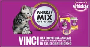 Vinci-fornitura-annuale-di-prodotti-Whiskas
