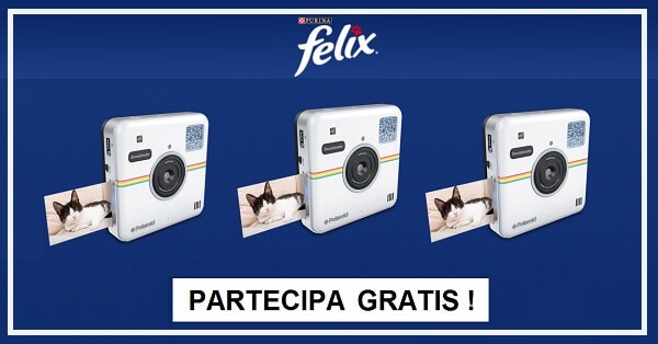 Felix-gratis-una-macchina-fotografica-Polaroid-Socialmatic-gratis