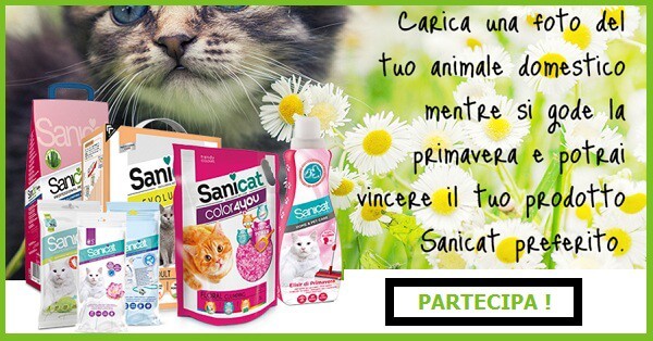 Vinci-pack-di-prodotti-Sanicat-gratis