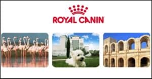Concorso-Royal-Canin