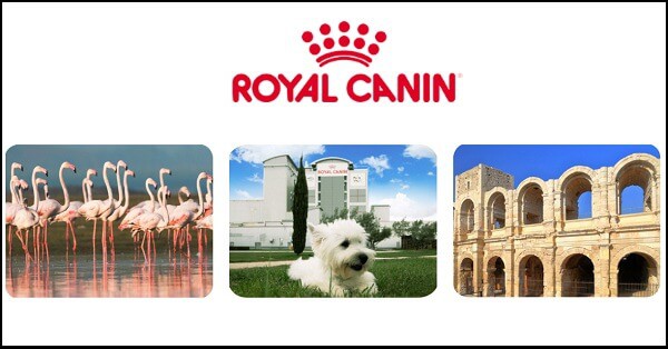 Concorso-Royal-Canin