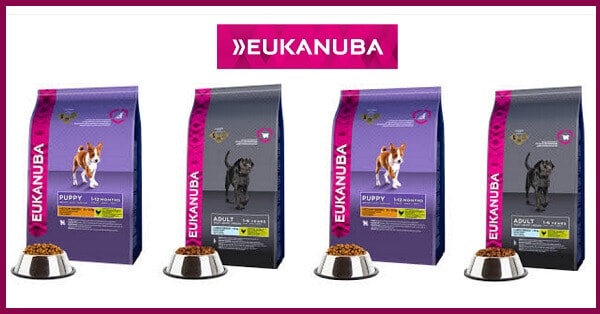 Campioni-omaggio-Eukanuba