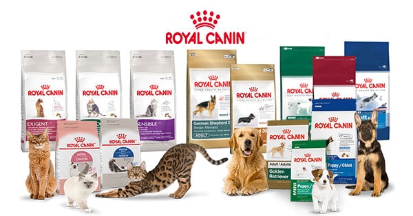 Concorso Fagli un regalo d'amore, scegli Royal Canin