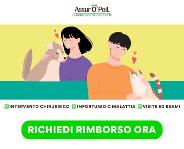 Assur O'Poil assicurazione gatto cane